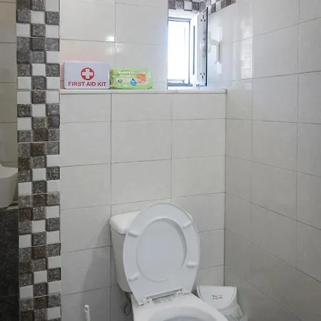 Alopronoia Sea Breeze Apartmán Síkinos